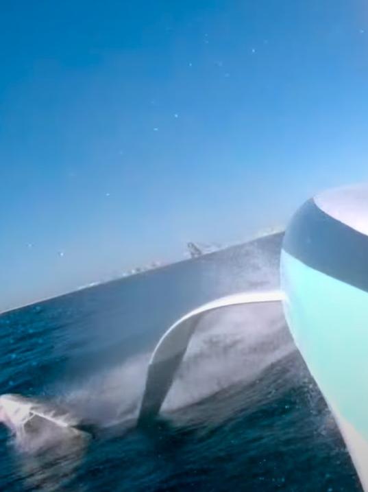 Screengrab of plastic caught on a foil during the Youth America's Cup