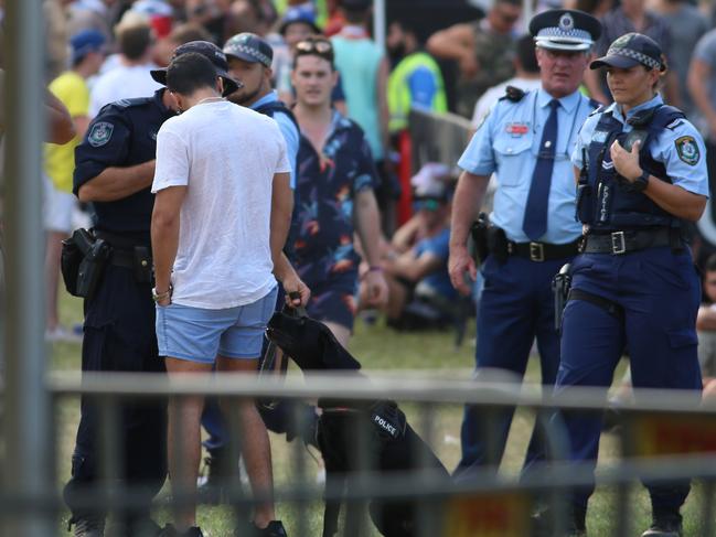 Police with a sniffer dog at this year’s Ultra Australia festival in Parramatta Park, Sydney. Picture: Damian Shaw