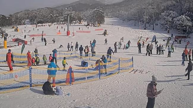 More than 45cm of snow fell across the long-weekend, including at Thredbo Picture: NewsWire handout