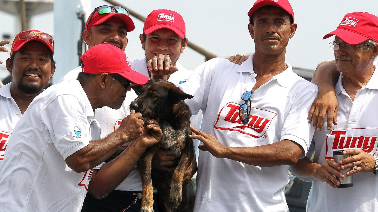 Members of the crew of the Mexican tuna vessel Maria Delia pose for a picture with Bella. (Photo by ULISES RUIZ / AFP)