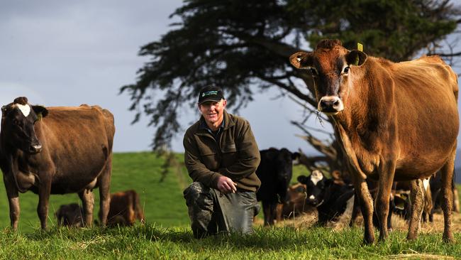 Dairy farmer Gary Watson on his property at Lileah. PICTURE CHRIS KIDD