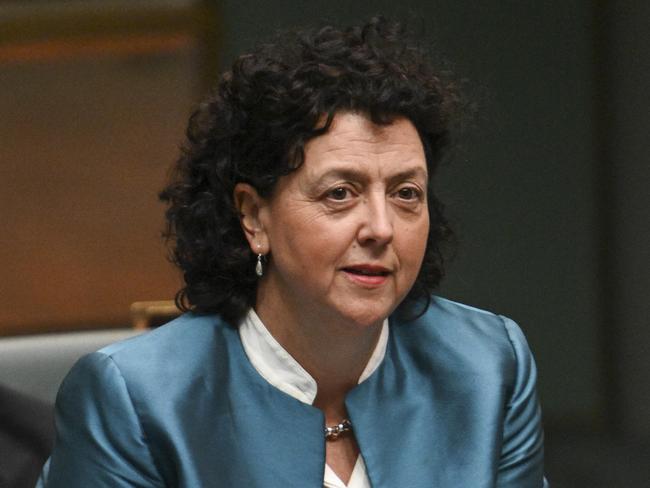 CANBERRA, Australia, NewsWire Photos. May 15, 2024: Monique Ryan MP during Question Time at Parliament House in Canberra. Picture: NCA NewsWire / Martin Ollman