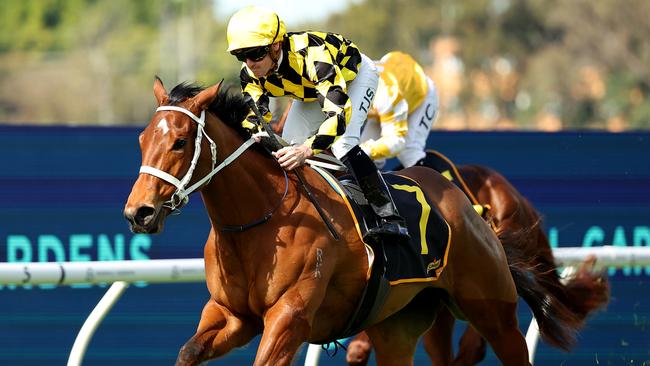 SYDNEY, AUSTRALIA - AUGUST 17: Tyler Schiller riding Autumn Glow wins Race 1 Schweppes during "Rosebud Day" - Sydney Racing at Rosehill Gardens on August 17, 2024 in Sydney, Australia. (Photo by Jeremy Ng/Getty Images)