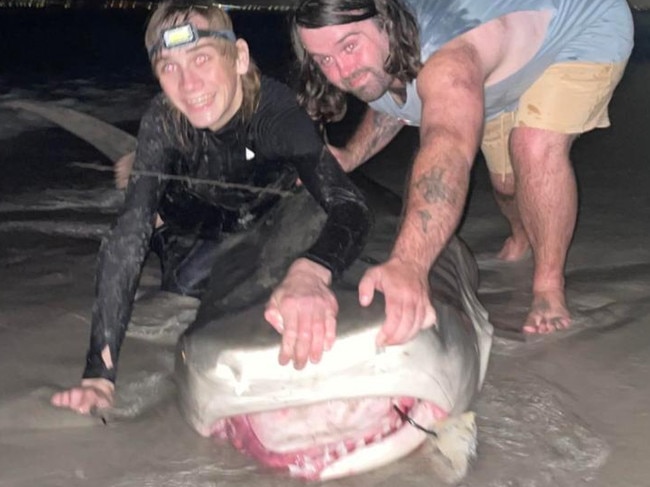 Robbie Hamilton and Bryan Rogers with the tiger shark. Picture: TikTok.