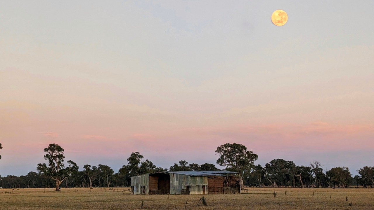 How to the see the rare 2024 super blue moon in Australia The Courier