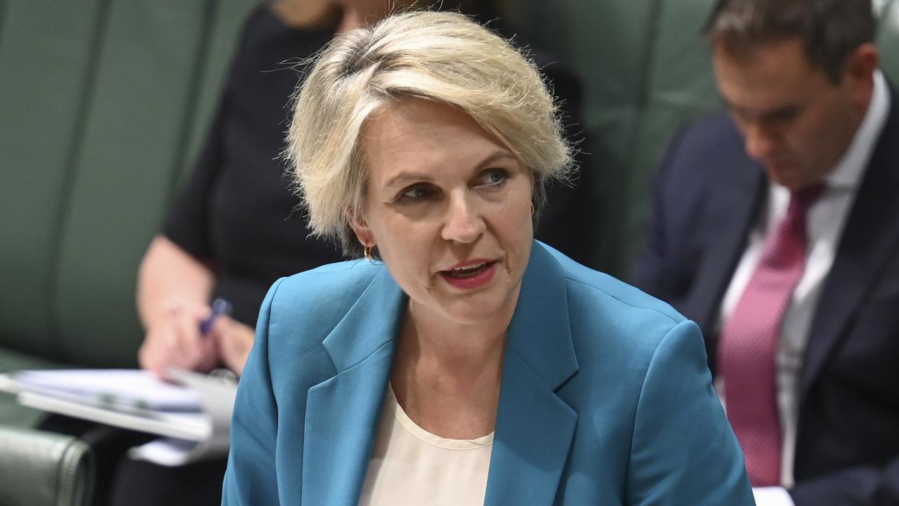 Environment Minister Tanya Plibersek reframed from commenting on the matter, stating: ‘Peter Dutton’s a public figure, but his son’s not’. Picture: NewsWire/ Martin Ollman