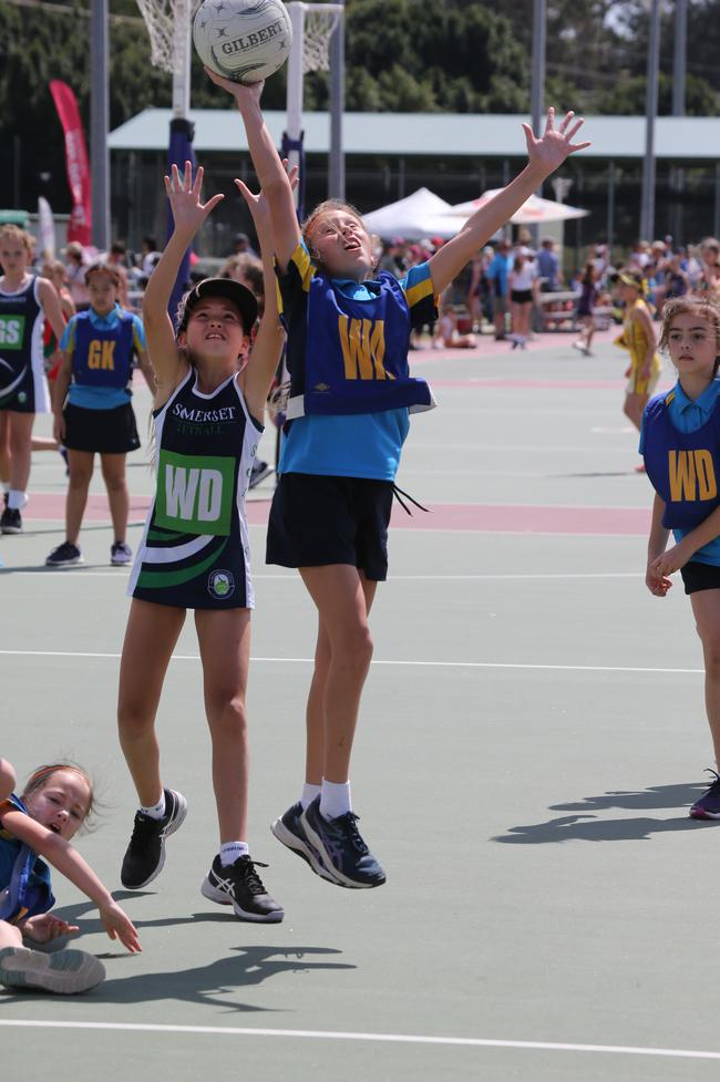 The Netball Qld Primary Schools Cup grand finals are being held at the Hinterland District Netball Association at Mudgeeraba. Picture: Mike Batterham.