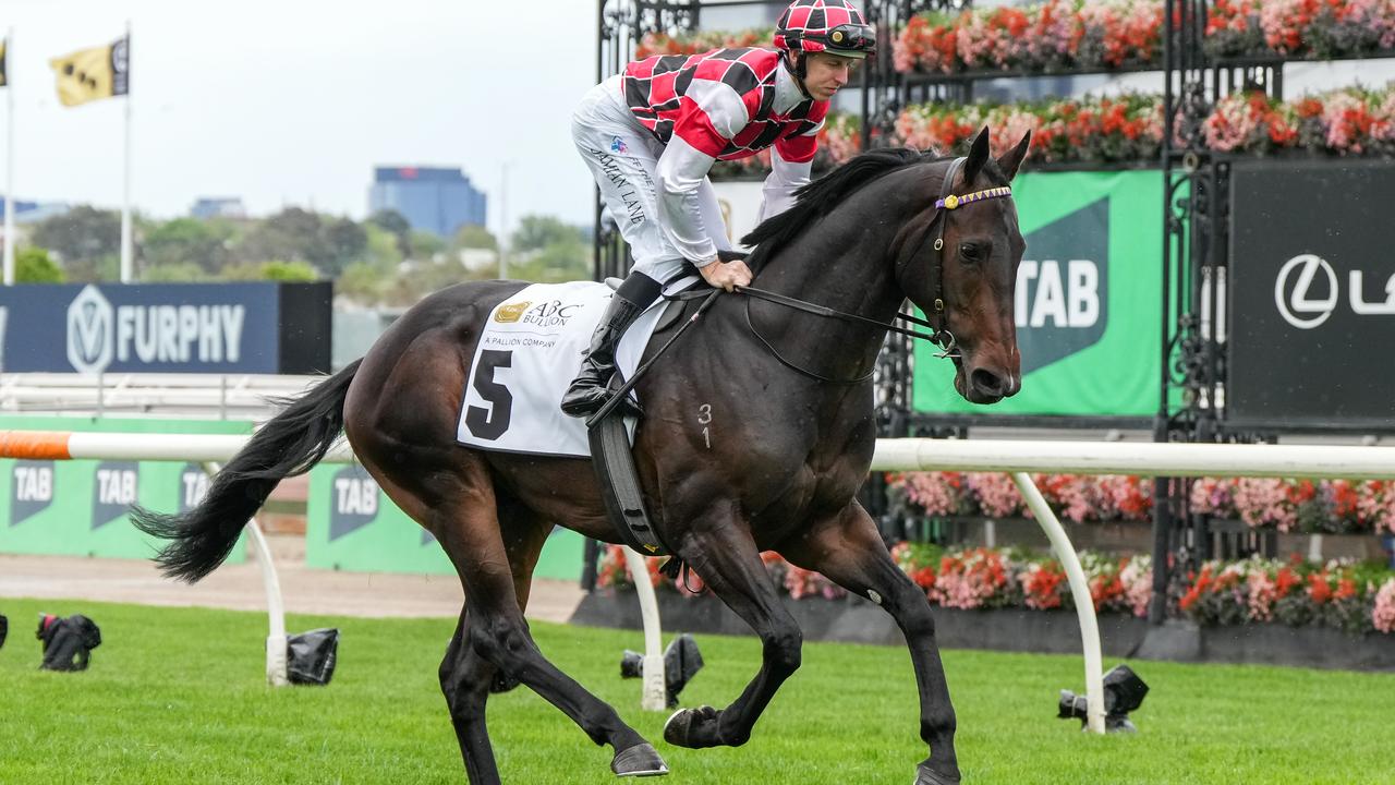 Scary could progress to the Rosehill Guineas and Australian Derby if his early autumn performances are up to expectations. Picture: Racing Photos via Getty Images