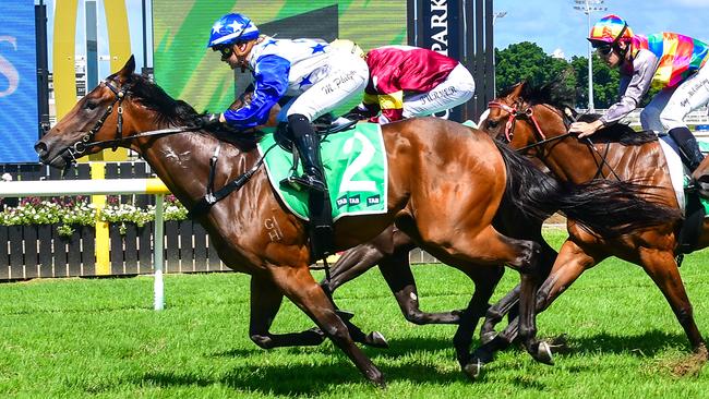 Montana Philpot guides the Stuart Kendrick-trained gelding King Spirit to victory in a QTIS 3YO Maiden race on the Gold Coast last Saturday. Picture: Grant Peters / Trackside Photography