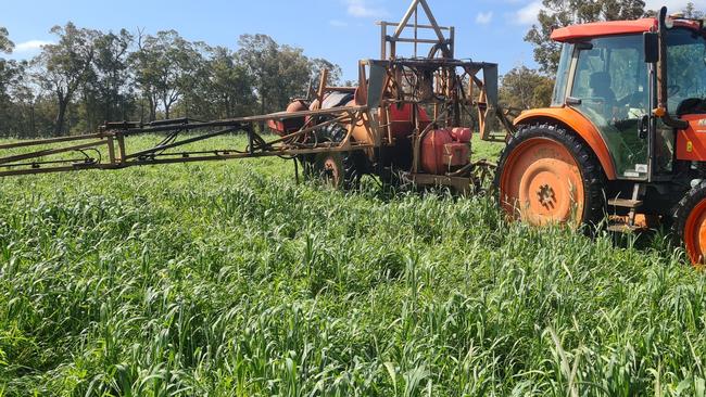 Jake Ryan uses foliar fertiliser which he mixes himself on his Three Ryans property at Manjimup in Western Australia.