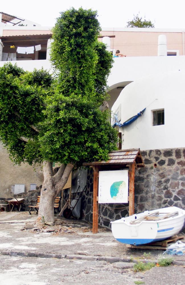 Tree and boat on Alicudi island. Eolie archipelago. Sicily. Italy