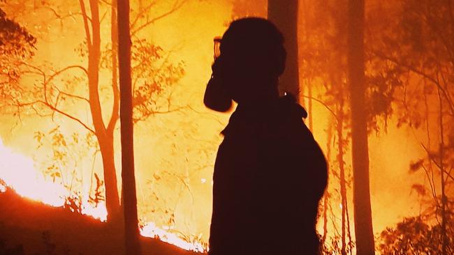 Fire roars through Beechmont in the Gold Coast Hinterland during the November bushfires. Picture: Aaron Kearney