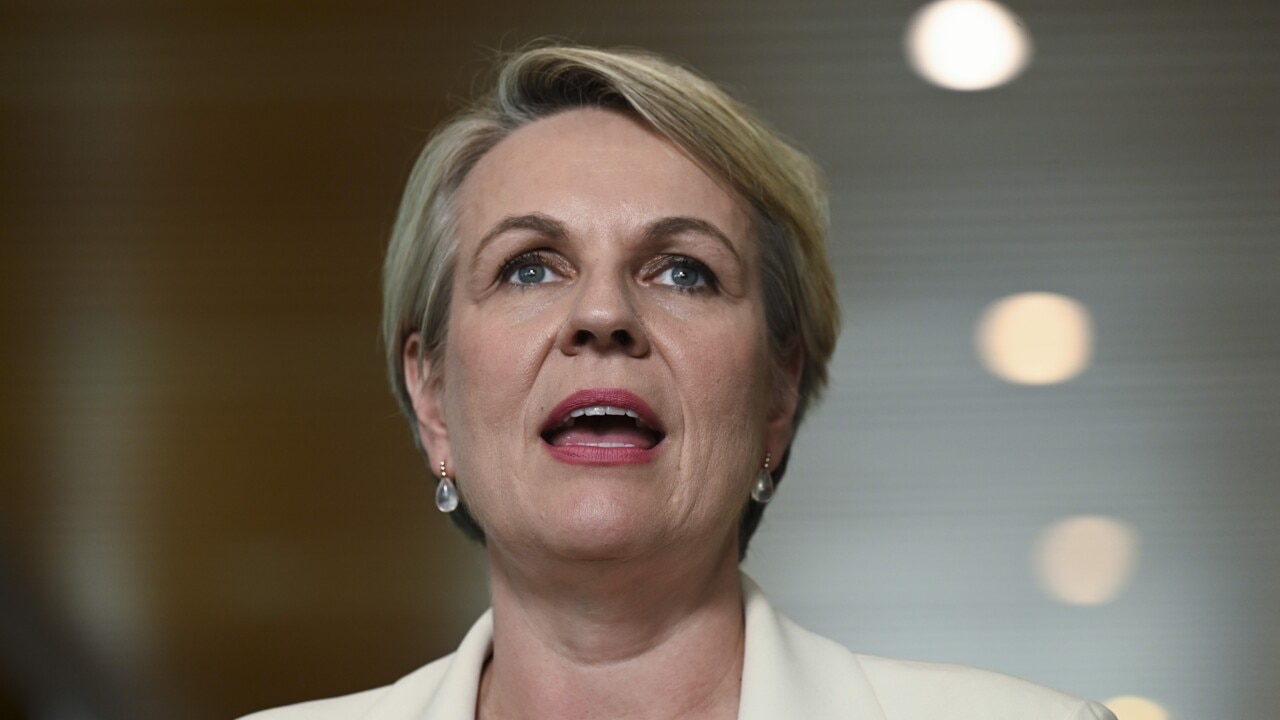 ‘Fallen Flat All Round’: Tanya Plibersek’s Green Policy Lacks Support ...