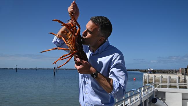 Newly elected Premier Peter Malinauskas with a crayfish on a boat in Port McDonnell. Picture: NCA NewsWire / Naomi Jellicoe