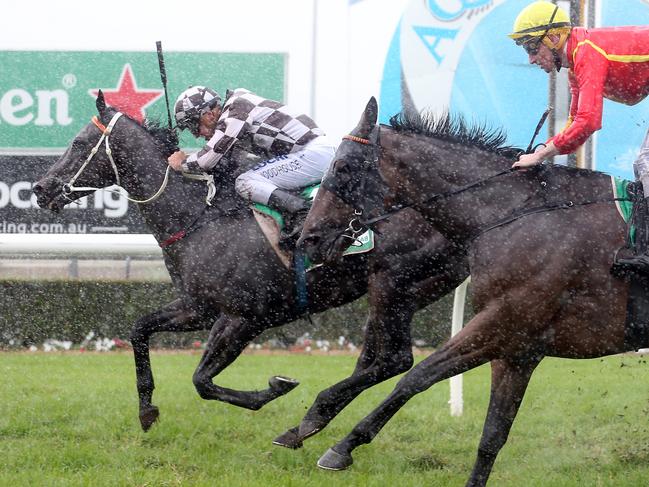 Racing at Gold Coast Turf Club. Winner of race number 4 PEPPINO. Jockey was Jarrod Woodhouse, trainer is John Smerdon. Picture by Richard Gosling