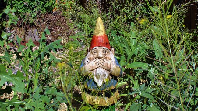 Garden gnome disgusted by overgrown side yard.