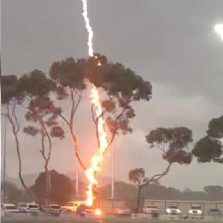 Moment lighting sets tree on fire during footy match in Victoria |   — Australia's leading news site
