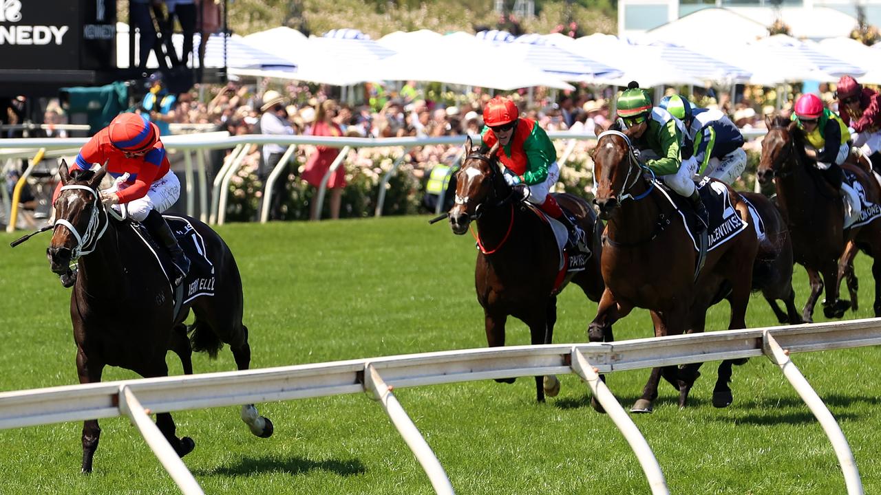 Verry Elleegant Confirms Champion Status With Melbourne Cup Win | Daily ...