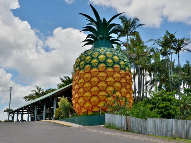 The 16m-high Big Pineapple.