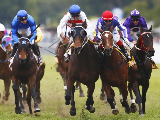 Thoroughbred action returns to Grafton on Monday afternoon. Picture: Jason O'Brien