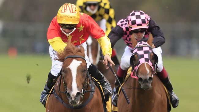Golden Rose winner In The Congo is being set for the Coolmore Stud Stakes. Picture: Getty Images