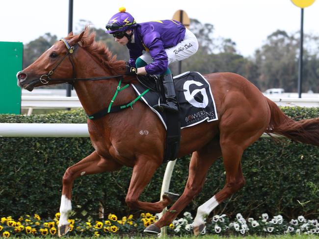 Mr Mosaic can keep his unbeaten first-up record in tact at Rosehill on Saturday. Picture: Grant Guy