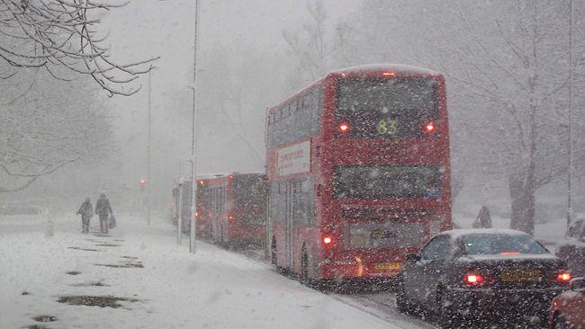 Heavy snow has brought London to a standstill.