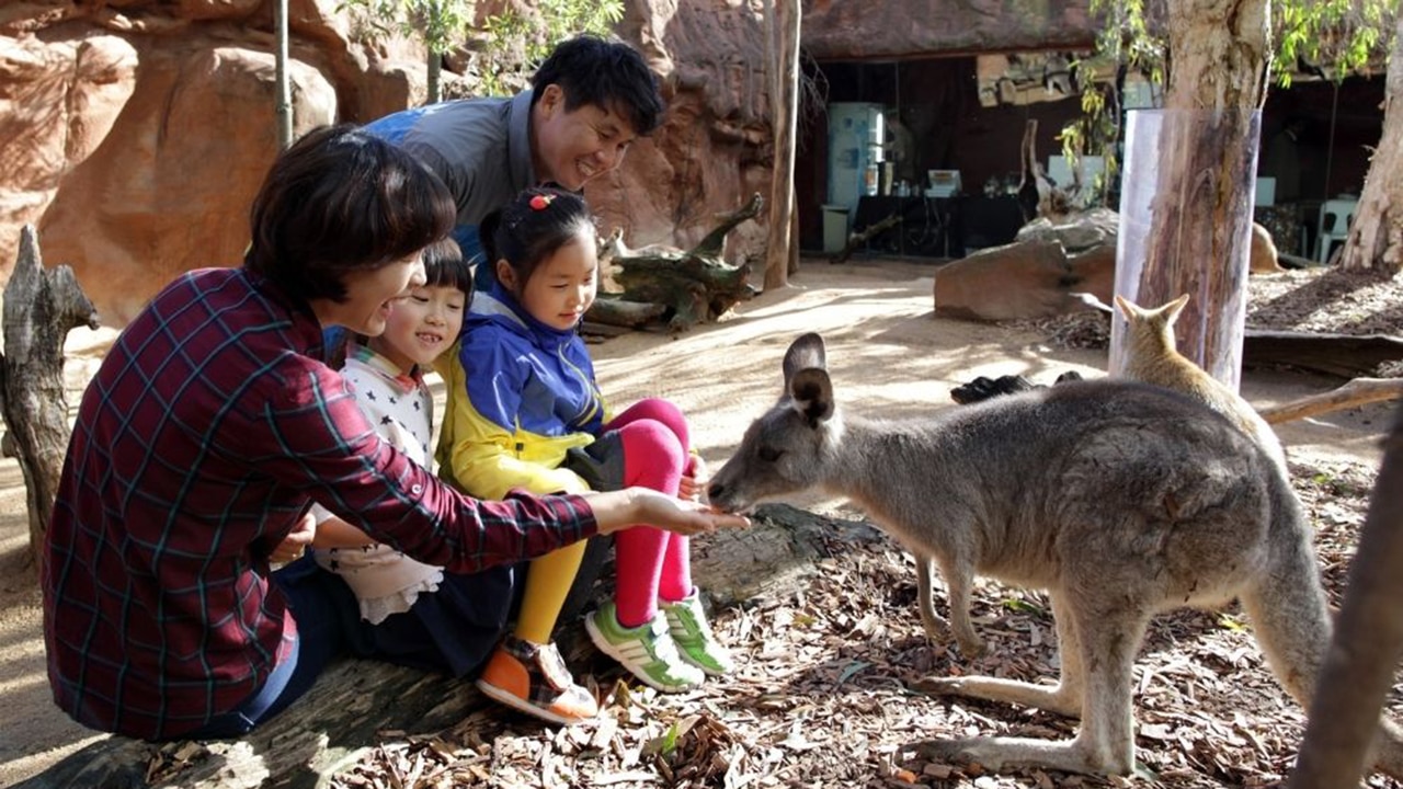 WILD LIFE Sydney Zoo. Picture: Experience Oz