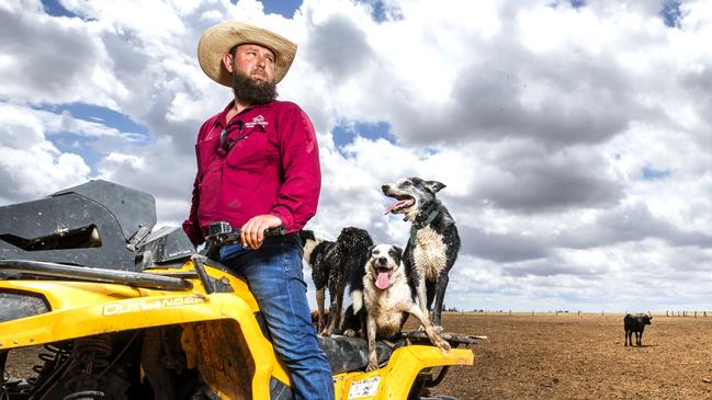 WINNER: Western Downs seed stock operation, Devon Court Herefords, has made history at the iconic RNA Paddock to Palate competition by producing the first purebred Hereford steer to win Champion Carcass in at least a decade. Pic Lachie Millard