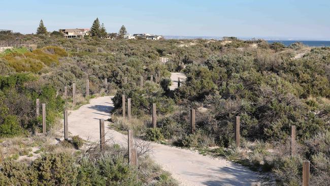 The path through the Tennyson Dunes Conservation Reserve, which environmental groups want extended along the coast. Picture Dean Martin