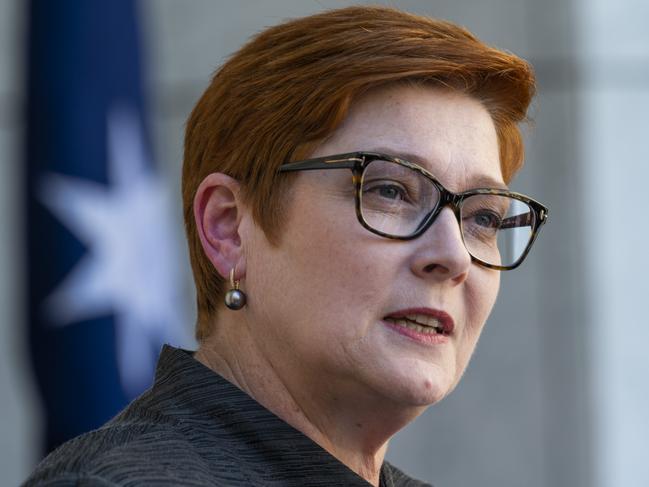 Marise Payne. Picture: Martin Ollman