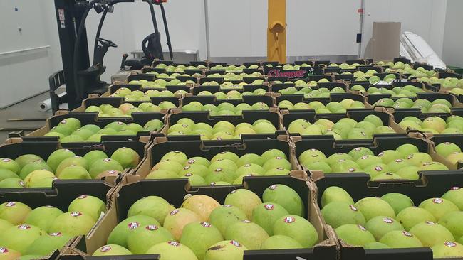 4000kg of Kensington Pride out of Jenko's Mangoes have been packed up by Pak Fresh Handling NT and were exported to Singapore on Tuesday. Picture: Supplied