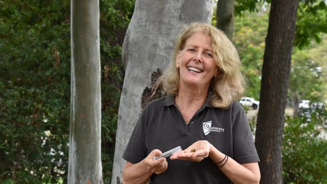 CQ University Koala researcher Dr Flavia Santamaria has spent the past year studying chemicals in the marsupial's poo and how they impact on their stress levels, which could hold the key to their survival.