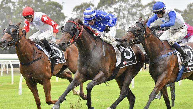 Storm The Ramparts (centre) looks hard to beat on his home track of Warwick Farm. Picture: Bradley Photos