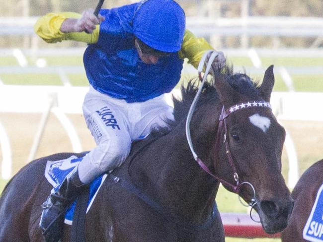 Track ~ Morphettville Date ~ 21.5.16 Jockey ~ Brad Rawiller Winner/Horse ~ Black Heart Bart Race Number ~ 7 Photo Credit ~ © Atkins Photography