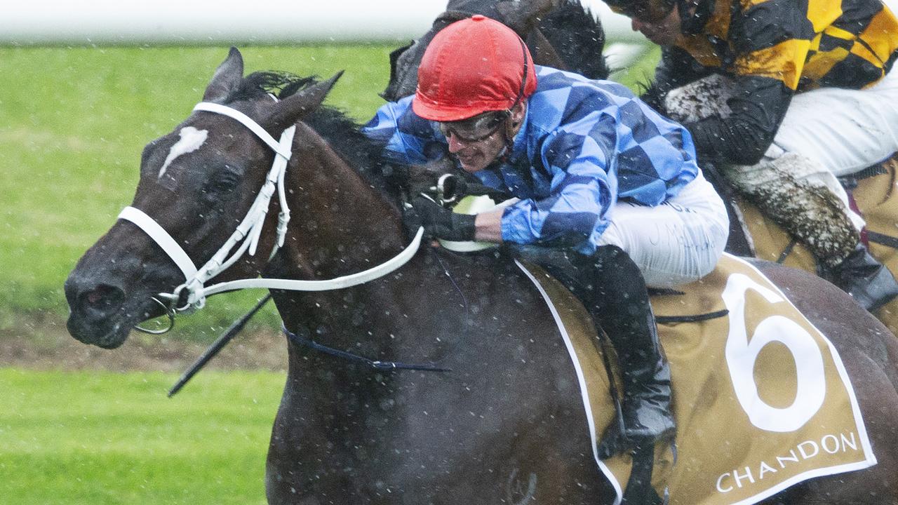 Northern Farm、Group 1ロバFunstarを270万ドルで買収
