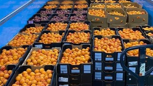 Some of fruit that Damien Van Twest had to throw away after a council staffer told him to stop giving out free fruit at Brian Harris Oval in Ormeau. Supplied.