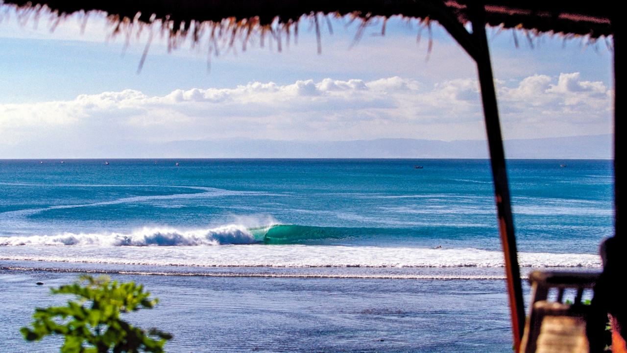 Most bites happen in Bali and other tourist hotspots in Southeast Asia. Picture: Getty