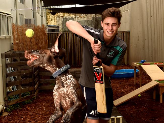 Dogtopia Retreat manager Colby Busetti enjoys a game of cricket with Flynn. Picture: Evan Morgan