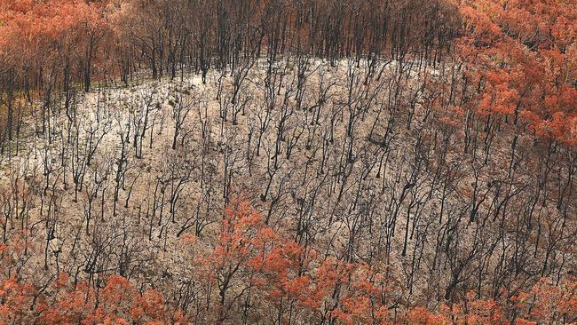 The burnt aftermath of the bushfire on world heritage listed Fraser Island. Pic Lyndon Mechielsen