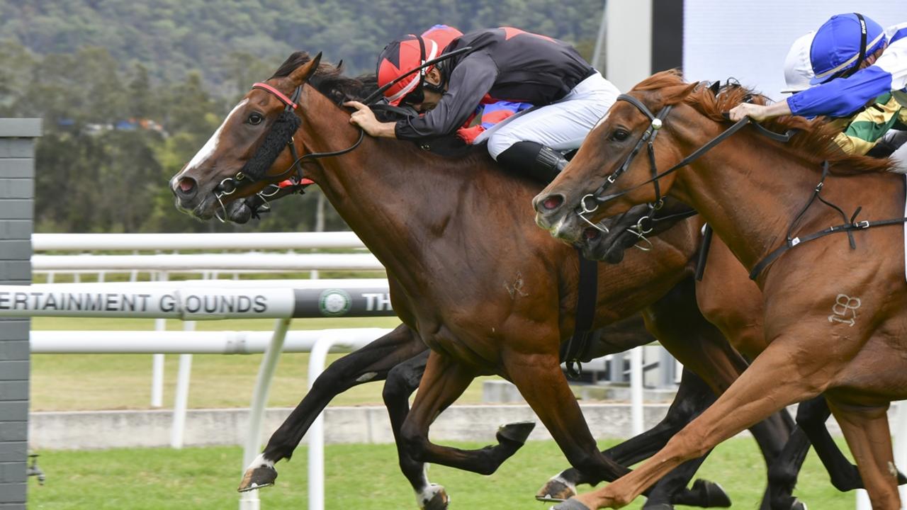 Stefano Cherchi delivers his last winner - Flying Bat (black) at Gosford on March 16. Photo: Bradley Photos.