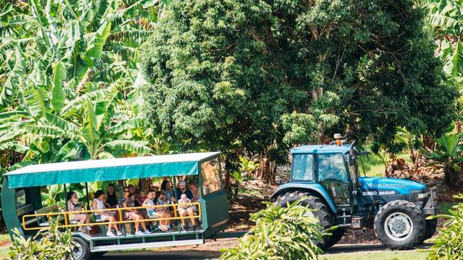 Tropical Fruit World near Cudgen in the far north of NSW has been operating since 1983.