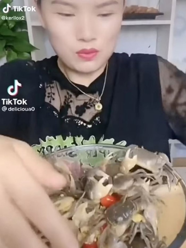 The video split users down the middle on whether or not it was animal cruelty or not. Picture: TikTok / kerliox2