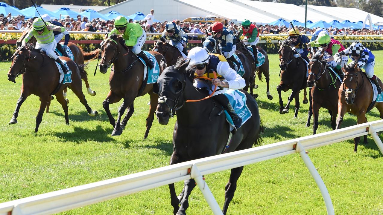 Sea King won the Bendigo Cup in his first Australian start. Picture: Pat Scala/Racing Photos via Getty Images