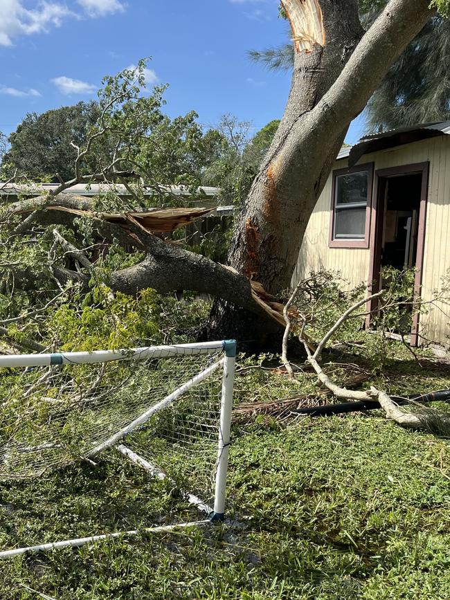 The fallen tree narrowly avoided Mr Leyshon’s house.