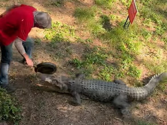 Only in Australia. Goat Island publican Kai Hansen went viral after tackling a charging 3.5m croc with a frying pan. Kai won. Picture: Blake Smith