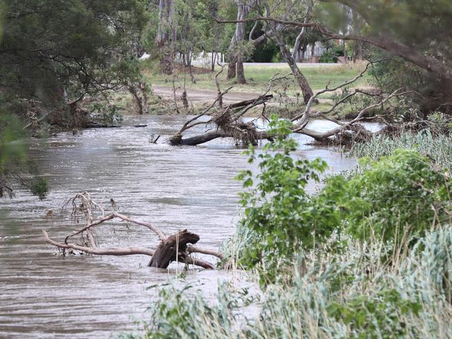 Fallen trees litter the creek in Euroa. Picture: Alex Coppel.