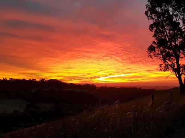 Sunset at Chandlers Hill. Photo: Eleanor Makins.