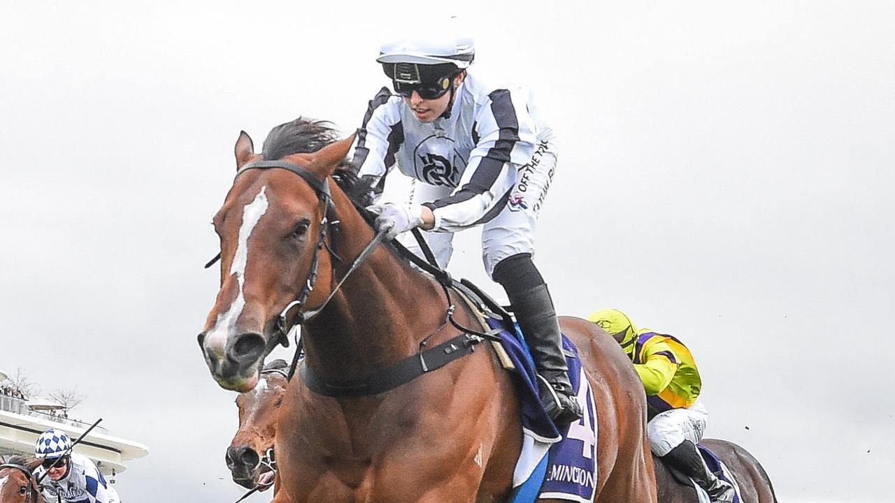 Fancify heads to the Eye Liner where he will be looking to kickstart the party for connections. Picture: Reg Ryan / Racing Photos