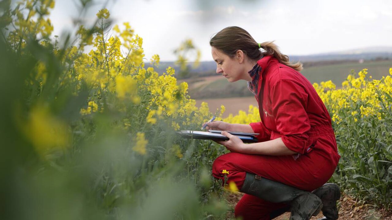 RC1 begins Queen Alexandra enviro studies
